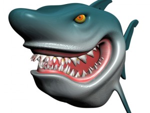 cartoon shark rigged Modelo 3D