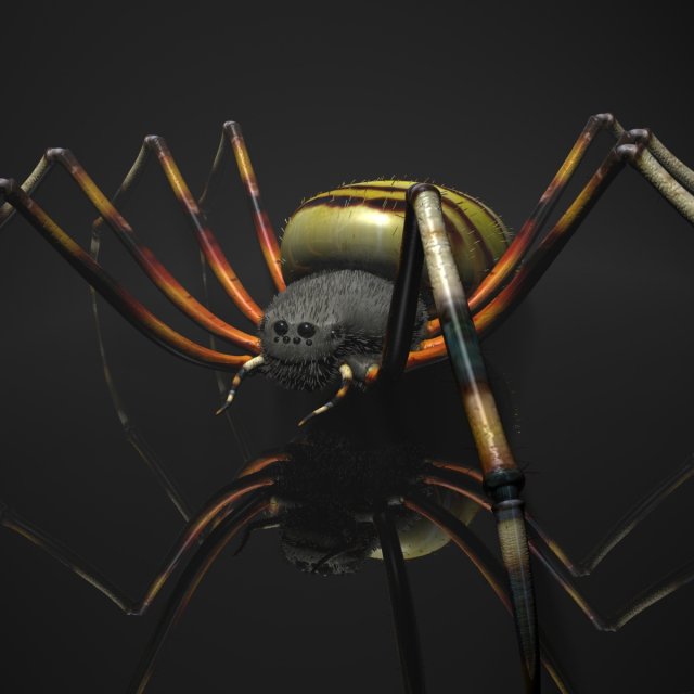 spider tiger rigged 3Dモデル .c4d .max .obj .3ds .fbx .stl .blend 
