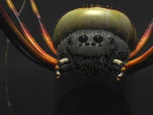 spider tiger rigged 3D Model