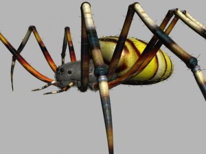spider tiger rigged 3Dモデル