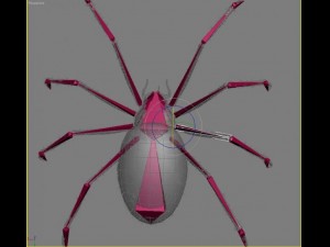 spider tiger rigged 3Dモデル