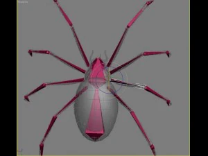 spider tiger rigged 3D Model
