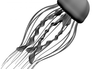 jellyfish rigged 3D Model