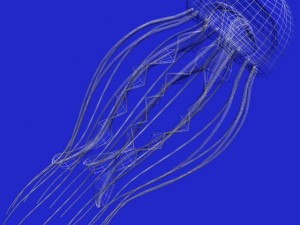 jellyfish rigged 3D Model