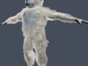 yeti character rigged 3D 모델