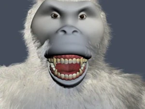 yeti character rigged 3D Model