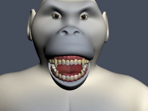 yeti character rigged 3D 모델