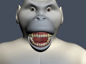 yeti character rigged 3D Model