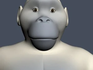 yeti character rigged 3D Model
