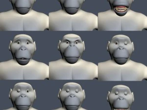 yeti character rigged 3D Model