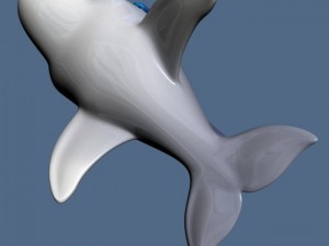 cartoon dolphin rigged 3D 모델