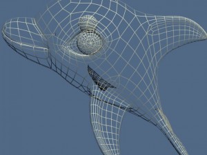 cartoon dolphin rigged 3D 모델