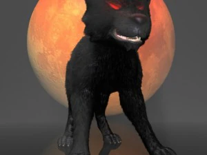 dark wolf rigged 3D Model
