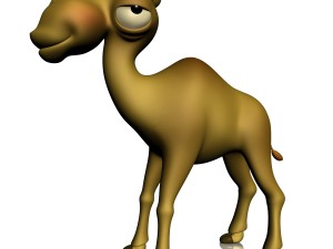 cartoon camel rigged Model 3D