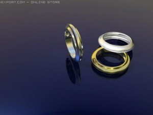 ring Model 3D