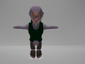 turtlebirdy 3D Model