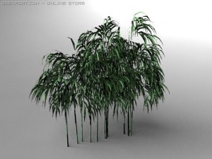 bamboo tree Modèle 3D