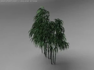 bamboo tree 3D Model