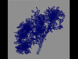 birsch tree 3D 模型