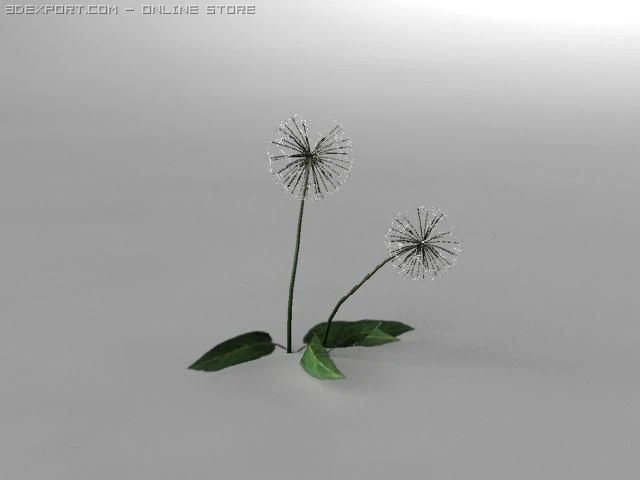 pissenlit Modèle 3D .c4d .max .obj .3ds .fbx .stl .blend 