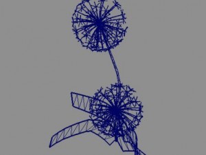 dandelion 3D Model