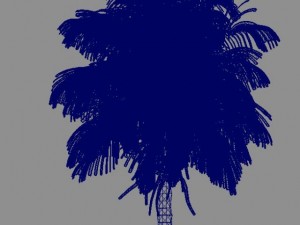 palm tree 3Dモデル