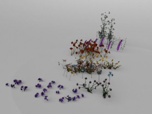 flower set 3D Model