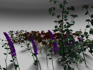 flower set 3D Model