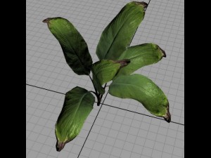palm 3D Model