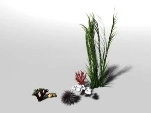 पानी के नीचे का सेट 3D मॉडल