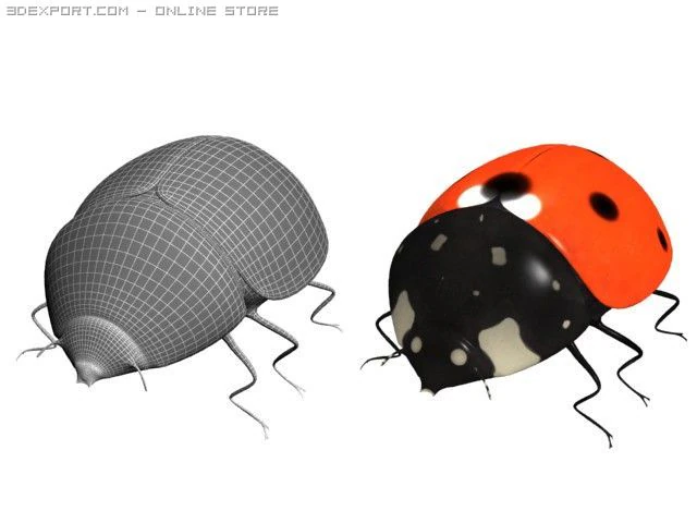 uğur b&ouml;ceği 3D Model .c4d .max .obj .3ds .fbx .stl .blend 