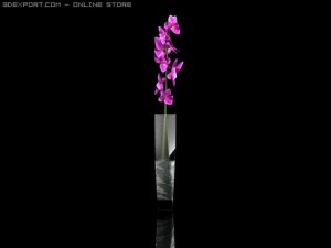 plants Modello 3D