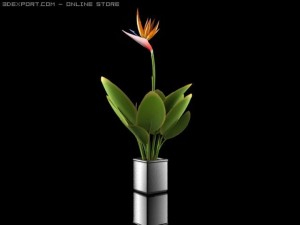 plants Modello 3D