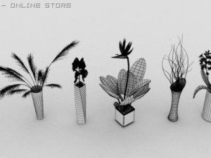 plants Modello 3D