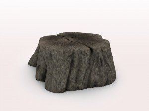 old tree stump 3D-Modell