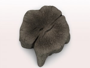 old tree stump 3D मॉडल
