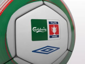 fa cup ball 2009 - green - vase 3D Model