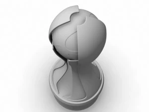 Trofeo Super League femminile WSL Modello 3D