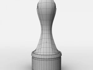 Trofeo Super League femminile WSL Modello 3D