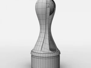 Trofeo Super League femminile WSL Modello 3D