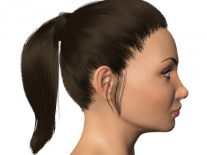 Female brunette no rig Modello 3D