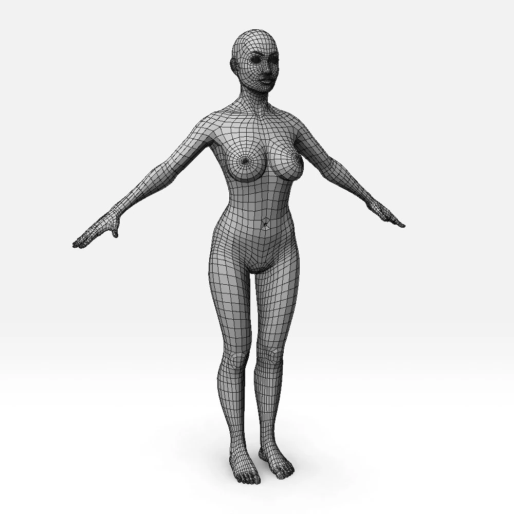 female basemesh 3D Model .c4d .max .obj .3ds .fbx .stl .blend 