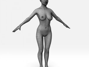 female basemesh 3D Model