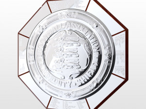 fa community charity shield trophy 3D Модель