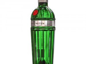 tanqueray 70cl bottle set 3D Model