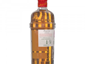 tanqueray 70cl bottle set 3D Model