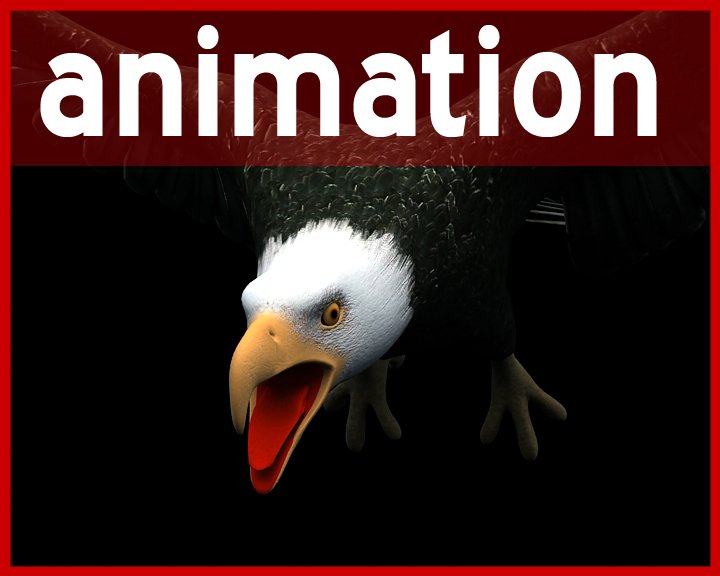 Eagle 3d Model In Bird 3dexport