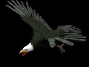 eagle 3D 모델