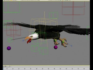 eagle 3D 모델