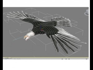 eagle 3D 모델